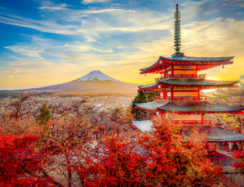 sejour japon.jpg